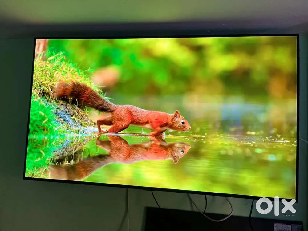 Samsung 55inch 4k 8k altra hd saport frameless