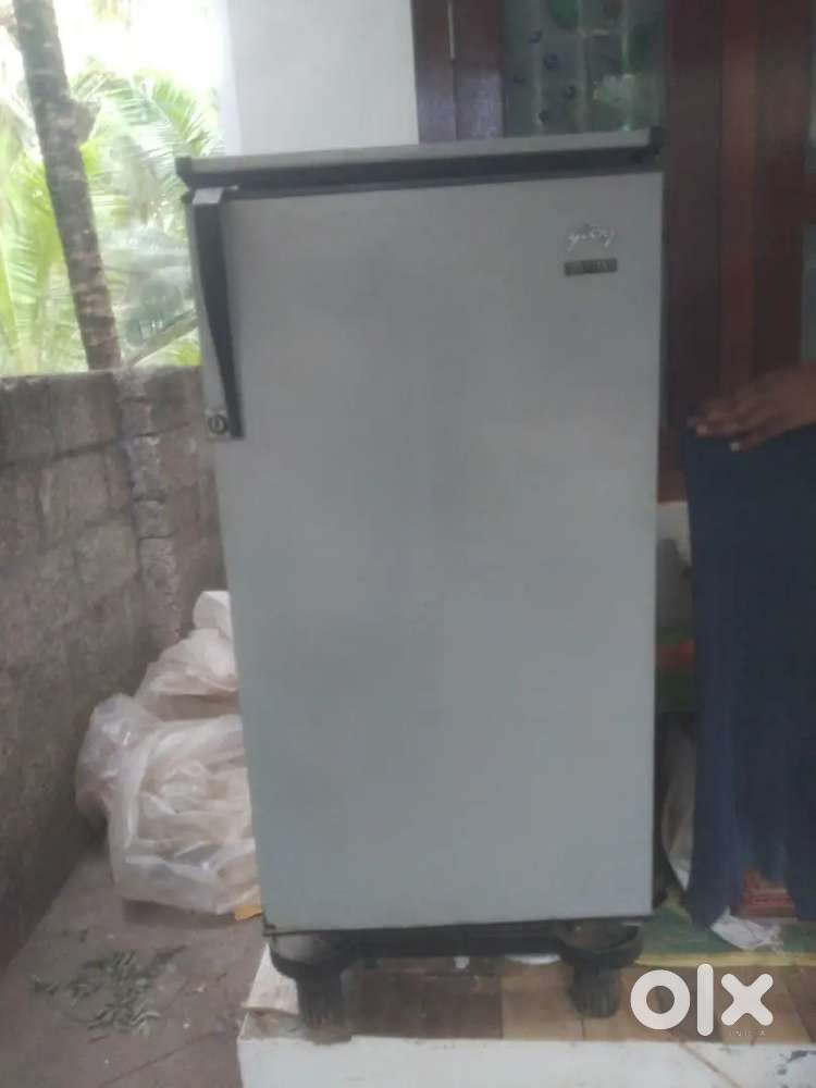 Cold Gold refrigerator
