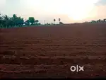Land / Agriland / Agriculture land
