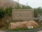 We are hiring for f&b team newly opened resort
