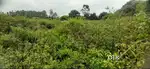 Chikkamgaluru, near Medical College - Land Area: 50 guntas