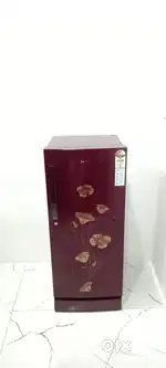 Maroon colour flower model Haier 5star rating single door refrigerator