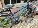Bicycle  Harculus rodio