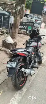 Arjent hai