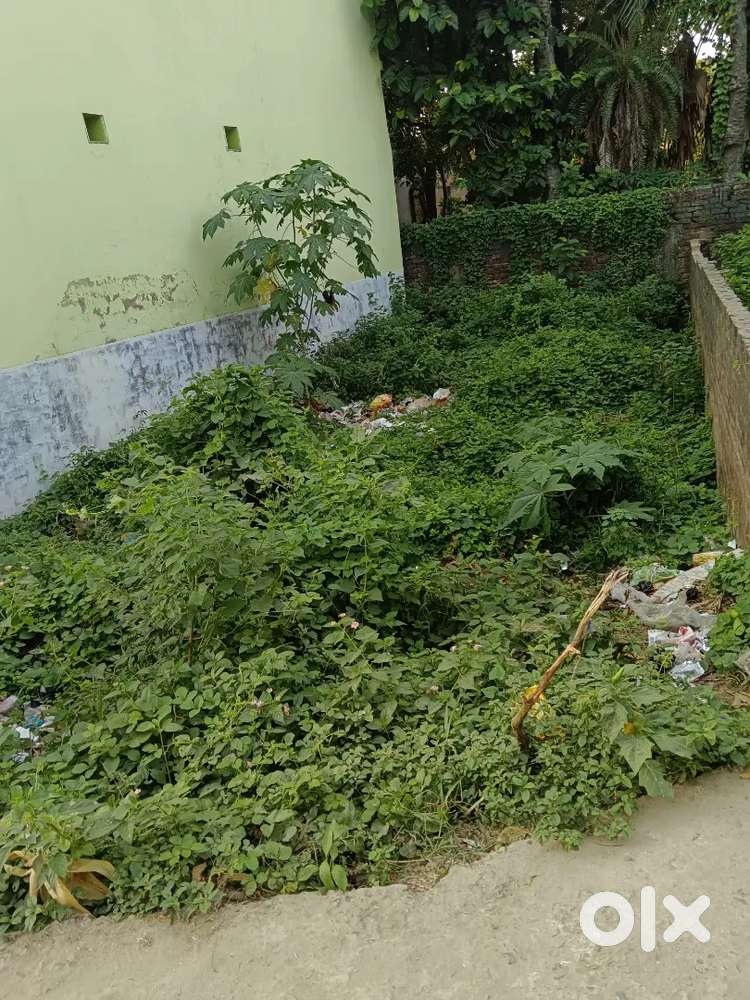 10 dhur sale hai near police line muzaffarpur