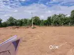 Open Plots near MNC Companies