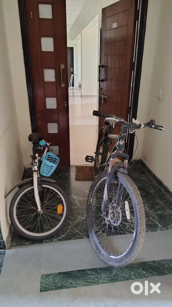 Kids and adult cycle