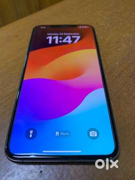 iPhone Xs Max 256Gb