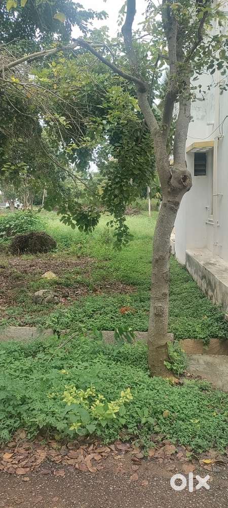 20*30 Plot in sulikere grama