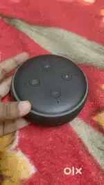 Google ALEXA