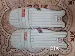 Cricket SS Pads