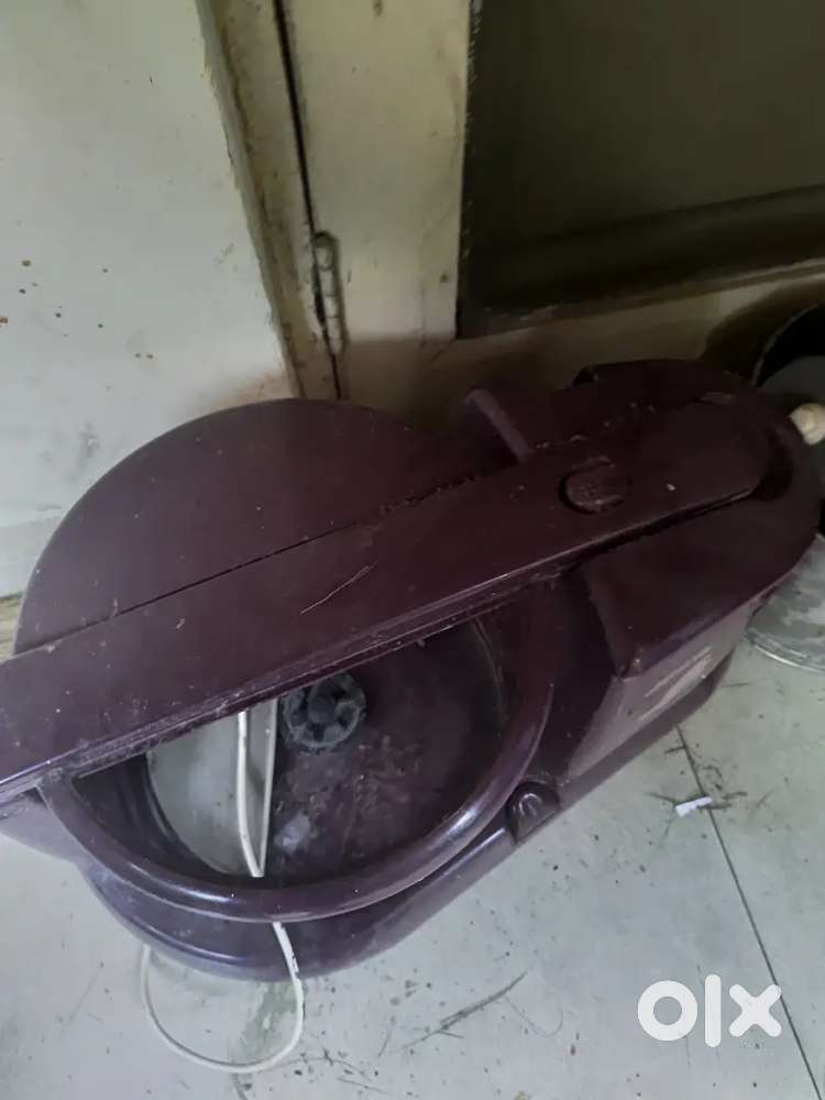 Grinder 7 to 8 years old