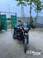 Pulsar 150 2in disc not abs