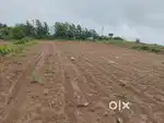 Collage Road 9 Meter Road Touch, Plot For Sale,Building /Bungalow Plot