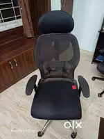 Office Executive Chair - Savya Home Apollo