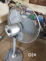 Stand Fan (brand - Havells)