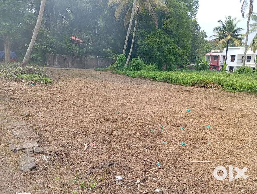 3 cent 6 cent ,cheriyapilly , kaithram route, 900 meter NH