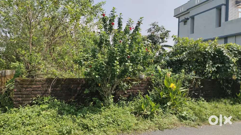 Plot for sale