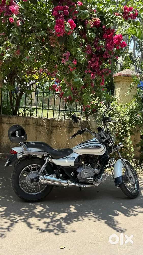 Showroom condition bike 
Avenger 
2019 model 
All documents okay