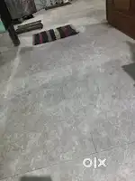 Student only
