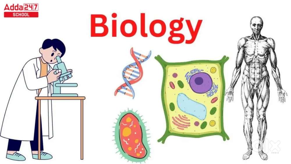 Biology teacher for 11-12th students...coaching/ individual