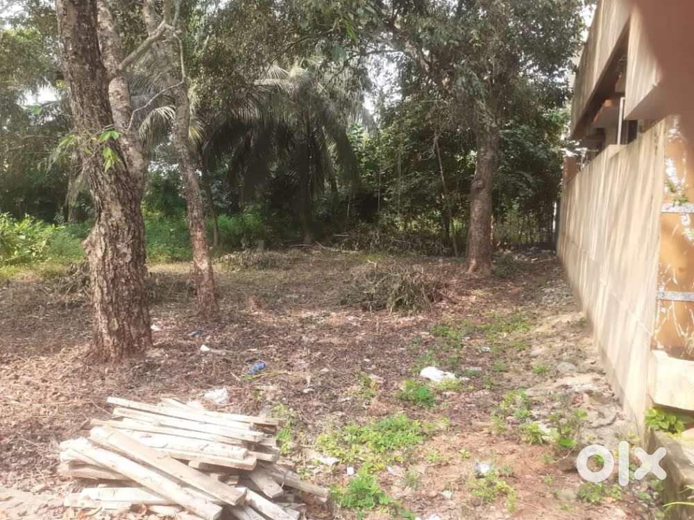 Near Sai baba Temple Repuru