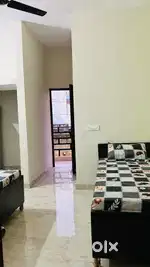 Elite homes pg's sector 48,38,46,45 Gurgaon