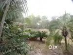 residential land for sale