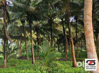 Farmland with house for sale in Walayar, Palakkad