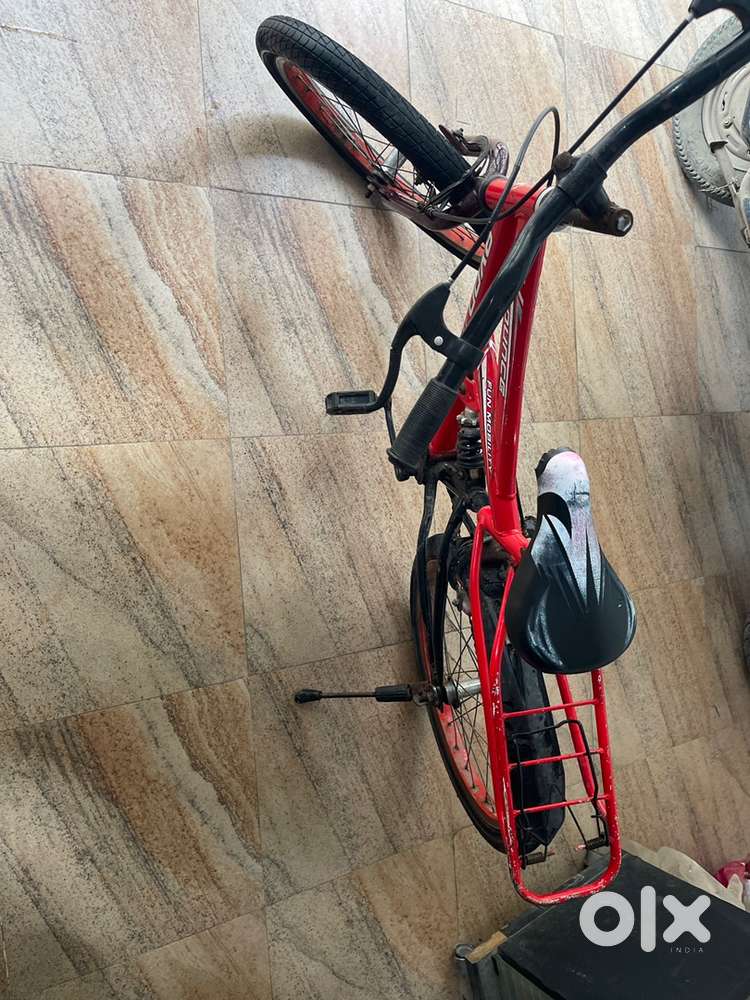 Aone cycle 1.5 year old
