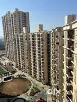 Raw flat available in sector 37d rent 13999