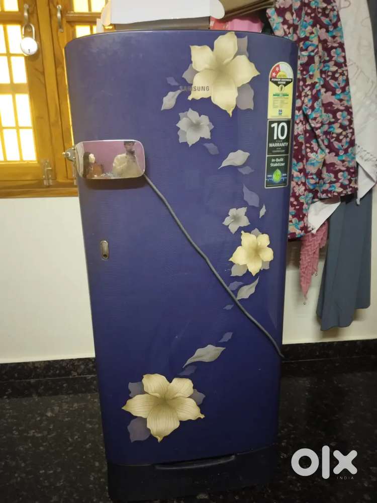 Samsung Fridge