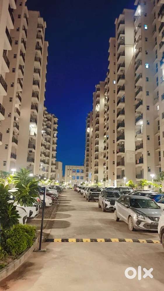 Signature Global Proxima