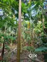 URGENT SALE OF 40 CENT RECT RESIDENTIAL LAND