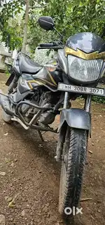 Honda Shine special gold edition