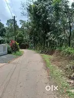 Land&property