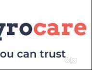 Looking for Delivery Person male or female