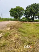 Plot Sale in Shyam Vatika [ Near by Kiet Collgege]