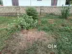 5 Cent 4 way Near Parvathipuram Nagercoil Kanyakumari Dist