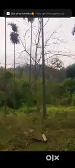 Dichang Sonapur