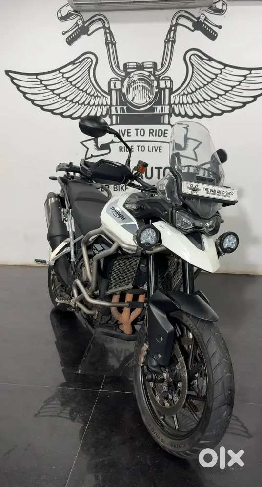 Triumph tiger gt