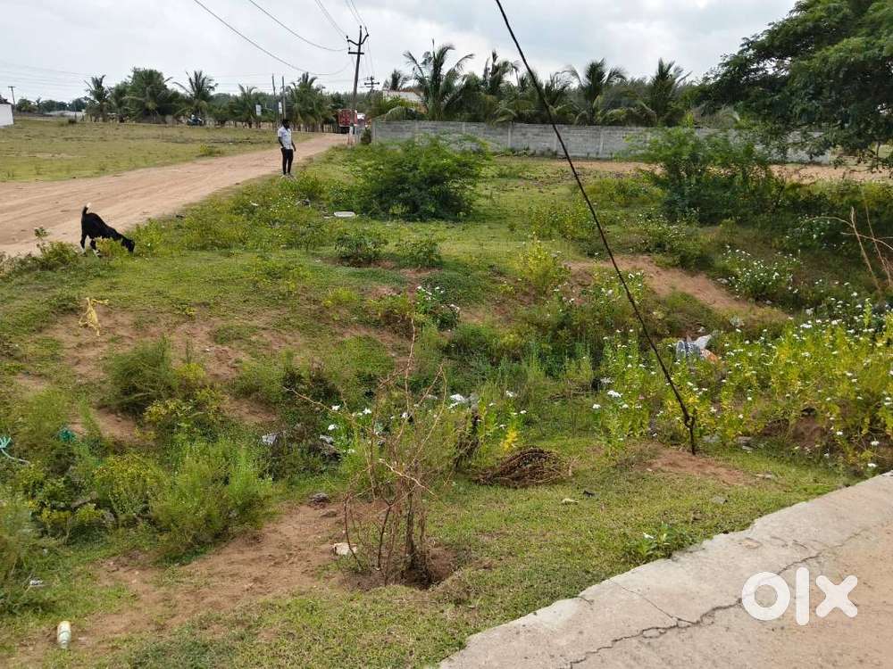 Beach Plot for sale in ECR Koovathur