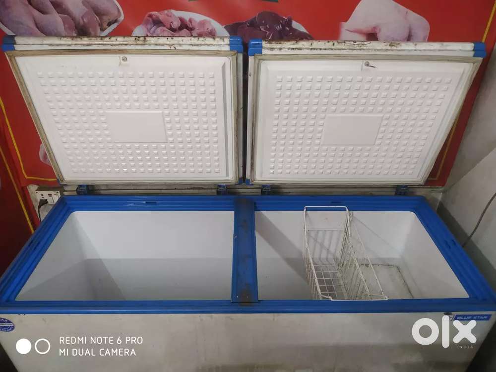 Blue Star Freezer