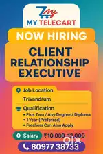 Client relationship executive