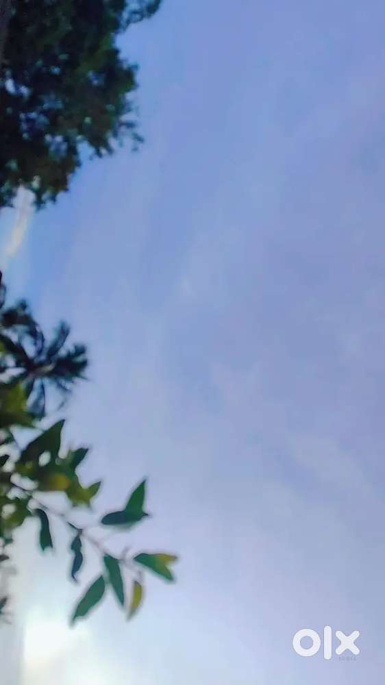 Home cleaning services available  All work service done care