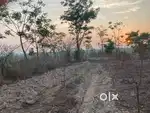 1.5 acre Agriculture land for Lease