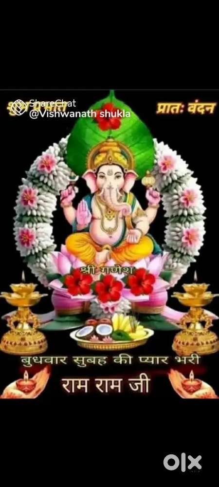 Need nursing staff  GNM ANM OR Bsc Nursing