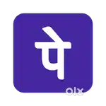 Urgently required business development executive for PhonePe
