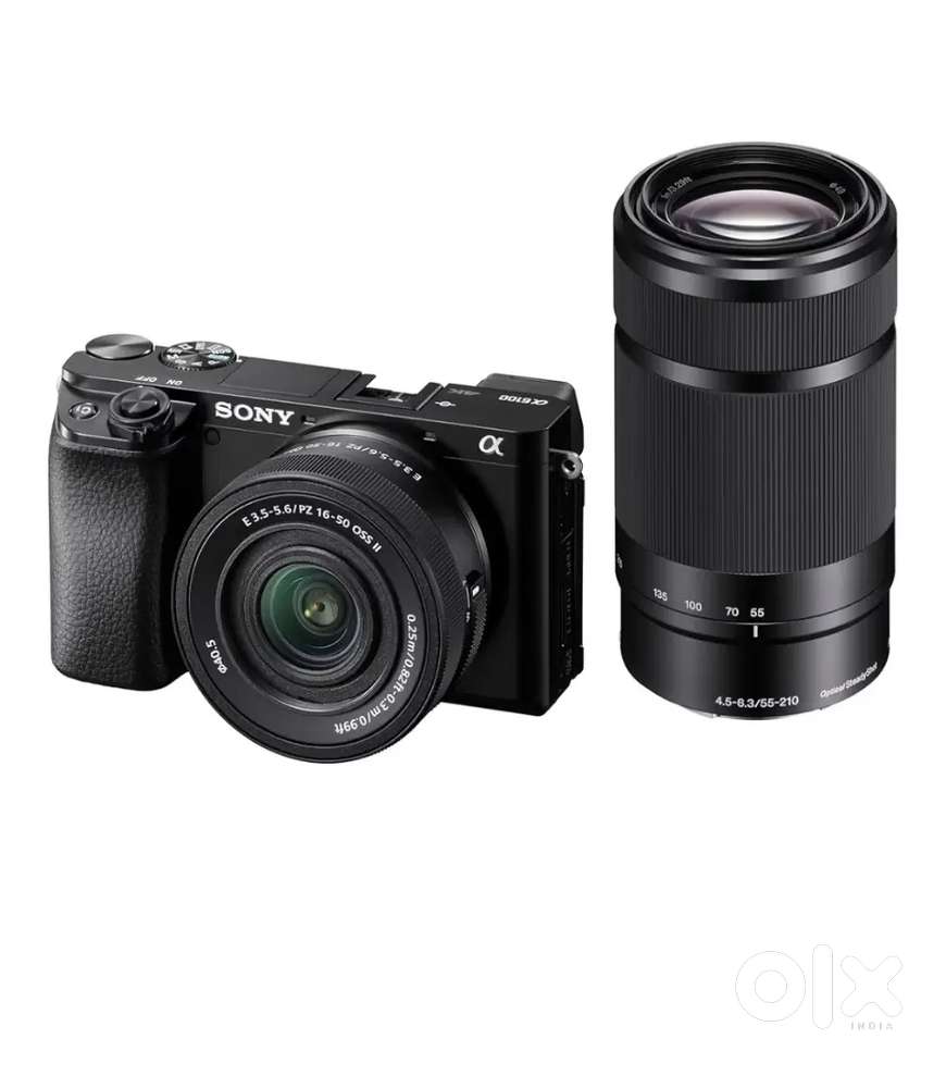 Sony mirrorless camera with two lens