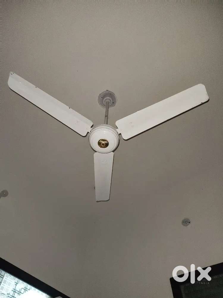Celling fan for room